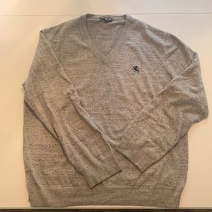 Express V-Neck sweater